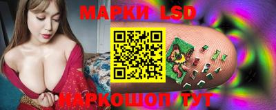Альфа ПВП Краснознаменск