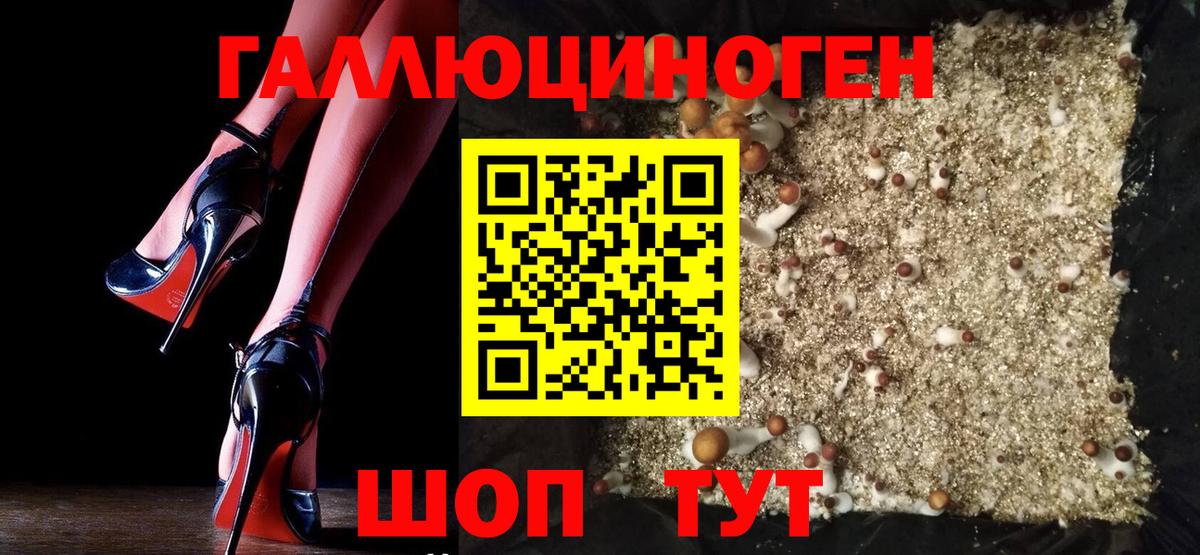 Псилоцибиновые грибы мухоморы  Галлюциногенные грибы Psilocybine cubensis  Вход с VPN  Балтийск 